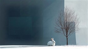 Bunny