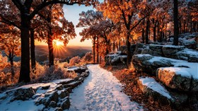Autumn Snow