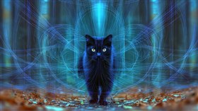 Magic Kitty