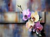 About Flowers 