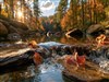 Chippewa Creek