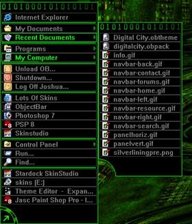 Digital City
