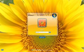 Splash Yellow LogonVista