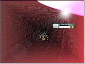 spider