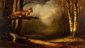 A lynx