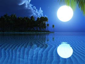 Sweet Music of Night