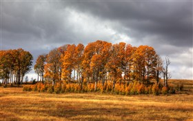 High Country Fall II