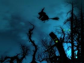 Woods at Night