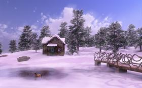 Sunny Winter Dreamland