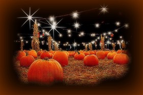 Punkin Patch
