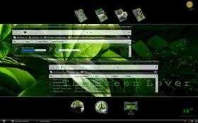 Vista Lover