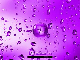 Vista Wet Purple  LCD Screen v2.0/2.1