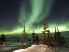 Polar