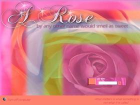 A Rose