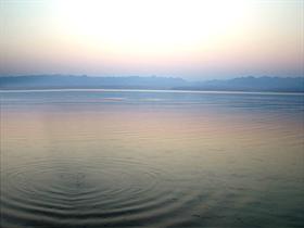 Ripple