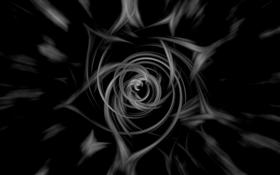 Rose Wires
