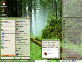 Walk in the Forest