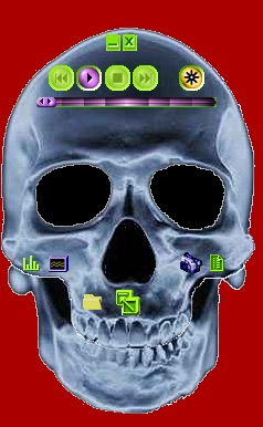 Skull