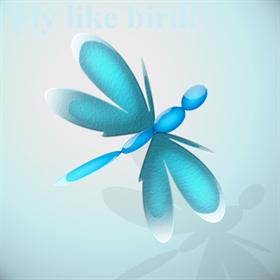 Glass Fly