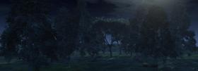 Forrest Scene (Night)