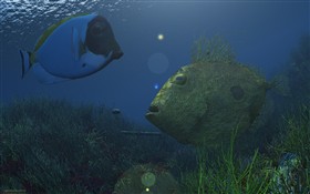 Underwater Life