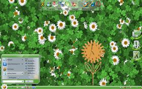 A spring desktop