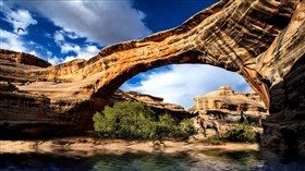 Glen_Canyon_Wild_Horses
