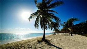 Nice_Calm_Beach