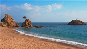 Mediterranean_Lone_Tree_Beach