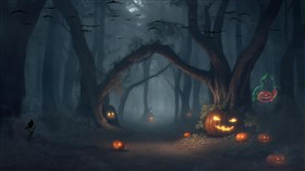 Mysterious Haunted Forest