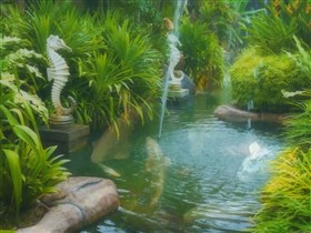 Spirit_2_Koi_Pond