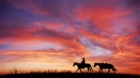 Cowboy Sunset