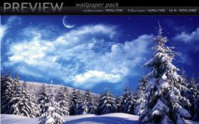 Winter Wonderland vol.3