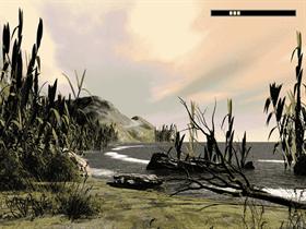 Seashore