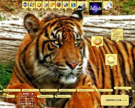 Eye of the Tiger