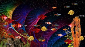 Colorful Aquarium