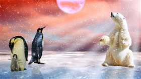 Arctic Winter