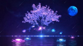 Dream Pond