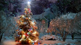 4K Christmas Winter