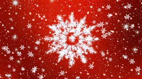Snow Flakes