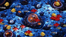 Aquarium Tank