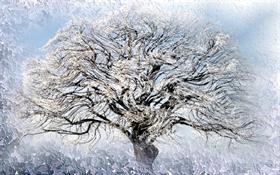 Ice Willow 2  .bootskin