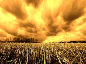Sunset Fields V2