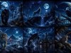 4K Night Life