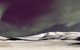The night the stars fell