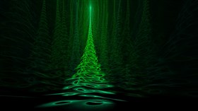 A light in the forest