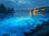 Night Waters