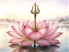 The Bloom