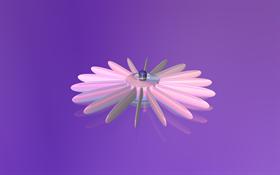 My Pink Fan