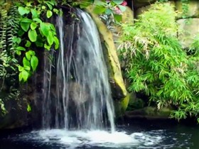 garden pond waterfall